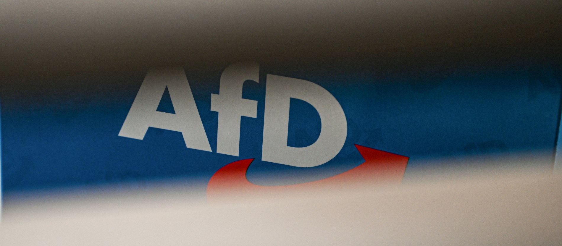 Različite reakcije na izbacivanje političara AfD-a iz crkvenog odbora