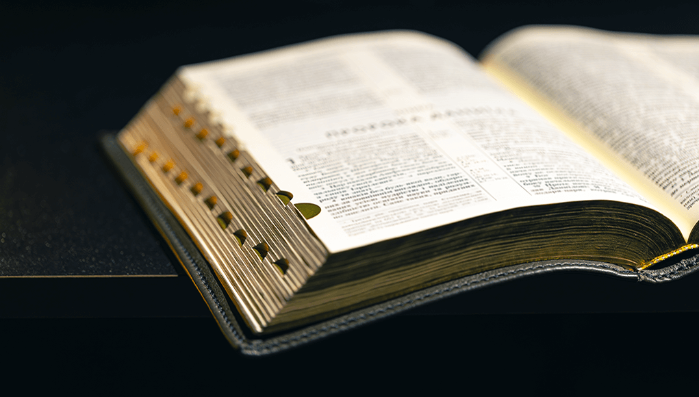 Biblija – knjiga svih rekorda